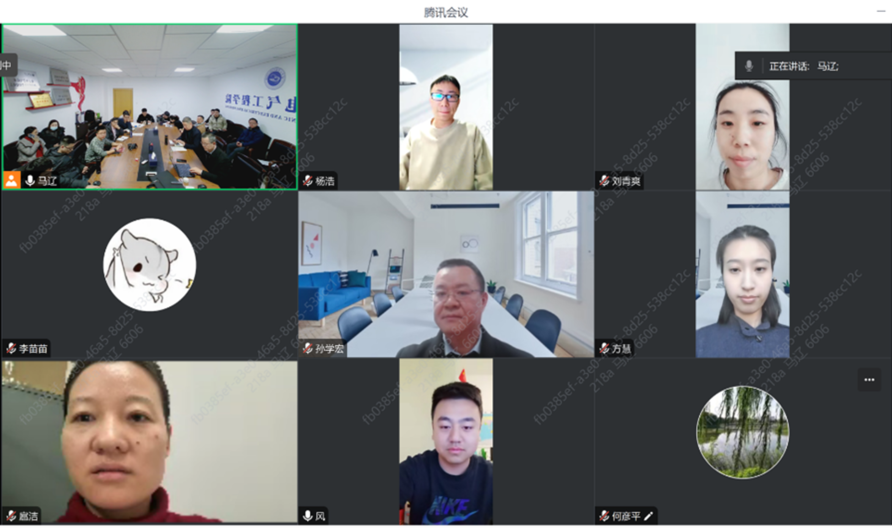 新澳六合彩内幕