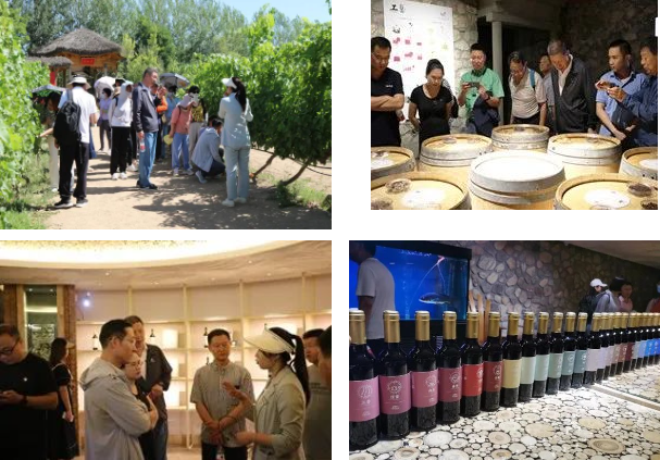 新澳六合彩内幕