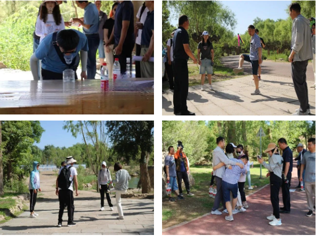 新澳六合彩内幕