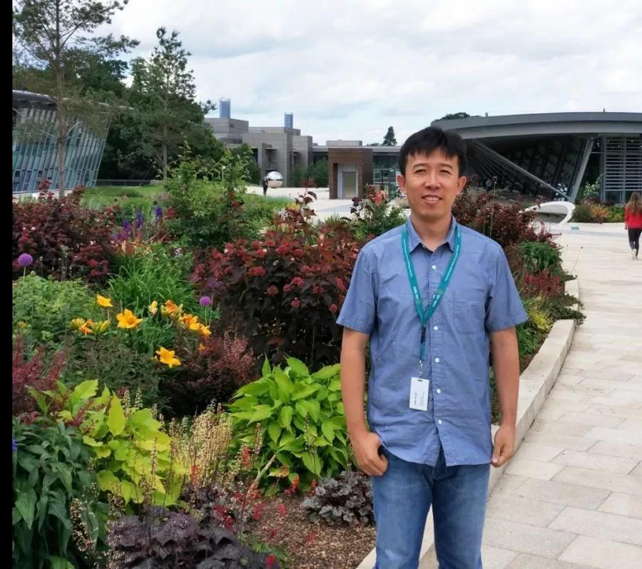 新澳六合彩内幕