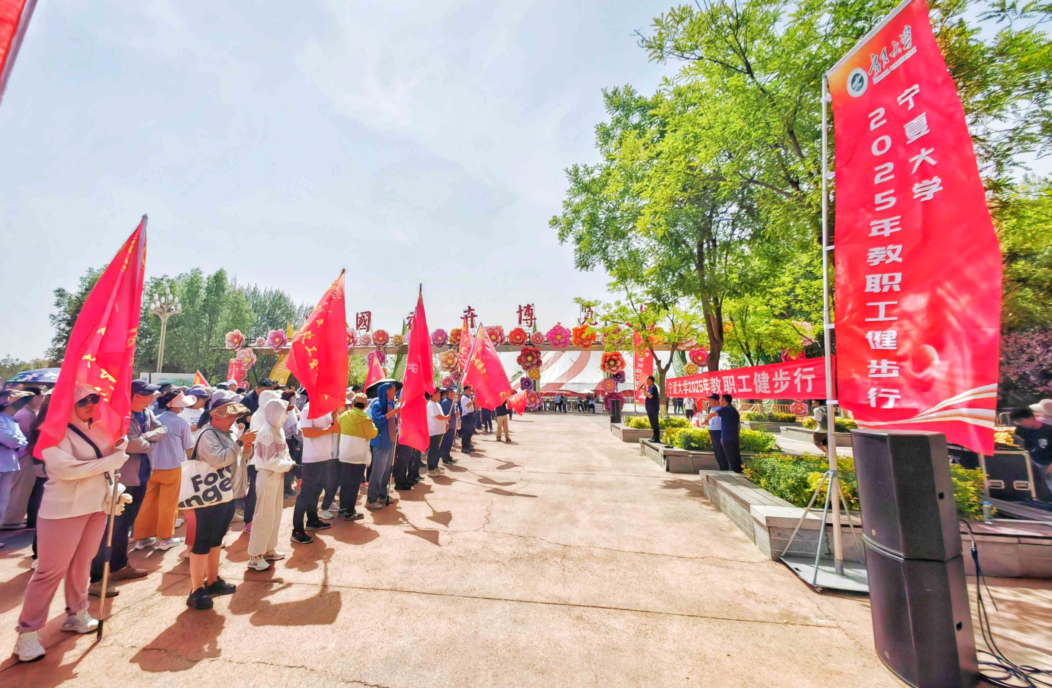 新澳六合彩内幕