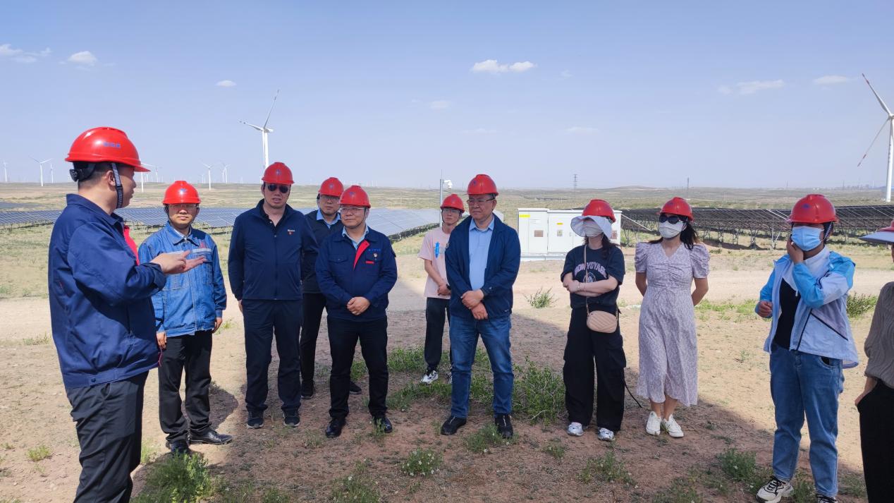 新澳六合彩内幕